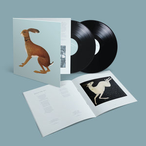 VASHTI BUNYAN | LOOKAFTERING (EXPANDED EDITION) (2LP SET) (VINYL)