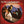 TOM PETTY / AND THE HEARTBREAKERS | GREATEST HITS (REMASTERED)
