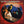 TOM PETTY / AND THE HEARTBREAKERS | GREATEST HITS (BONUS TRACK)