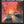 NEIL YOUNG | TRANS - US