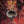 MIDNIGHT | HELLISH EXPECTATIONS