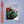 LEISURE | SUNSETTER (RED EDITION) (VINYL)