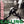 CLASH | LONDON CALLING