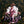 MELANIE MARTINEZ | PORTALS