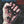 ALICE COOPER | RAISE YOUR FIST AND YELL