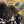 STEVE MILLER | SAILOR - US