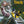 PHARCYDE | BIZARRE RIDE 2 - THE PHARCYDE
