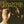 DOORS | DOORS (STEREO) (REMASTERED) (VINYL)