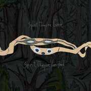 ANIMAL COLLECTIVE | SPIRIT THEY’RE GONE  SPIRIT THEY’VE VANISHED DELUXE VINYL
