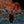 IRON AND WINE | KISS EACH OTHER CLEAN (DIGI)
