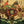 HELPLESSNESS BLUES (2LP SET) (VINYL) | FLEET FOXES