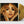SUKI WATERHOUSE | I CAN'T LET GO (VINYL)