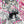 CHAI | CHAI (PINK EDITION) (VINYL)