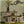 ERIC CLAPTON | 461 OCEAN BOULEVARD - NZ / AUS