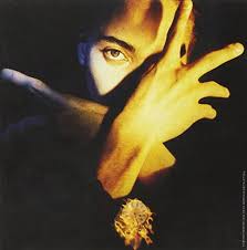 TERENCE TRENT D'ARBY | NEITHER FISH NOR FLESH