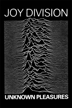 JOY DIVISION UNKNOWN PLEASURES POSTER 353