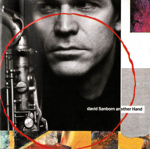 DAVID SANBORN | ANOTHER HAND