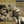 L. BERIO^ANDREA LUCCHESINI | PIANO MUSIC