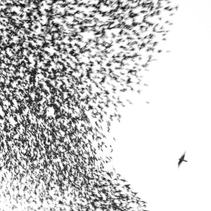 WILCO | SKY BLUE SKY (2LP SET) (VINYL)