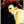 ZACK DE LA ROCHA RAGE AGAINST THE MACHINE POSTER 413