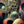 PSYCHEDELIC DYSTOPIA POSTER 288