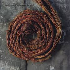 NINE INCH NAILS | FURTHER DOWN THE SPIRAL (11 TRACK)