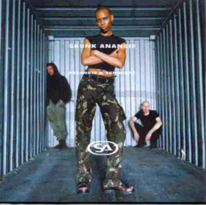 SKUNK ANANSIE | PARANOID AND SUNBURNT LP