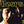 DOORS | DOORS (REMASTERED)