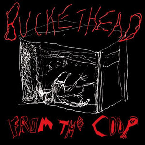 BUCKETHEAD | FROM THE COOP