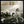 RUSH | PERMANENT WAVES (REMASTERED)