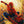 MOVIE AC | SPIDERMAN (2DVD)