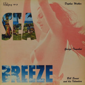 BILL SEVESI | SEA BREEZE - BIT ROUGH