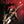LENNY KRAVITZ | LENNY LIVE