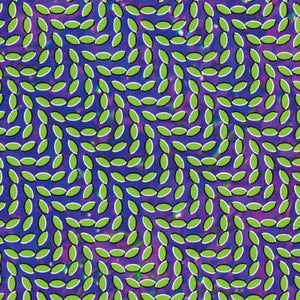 ANIMAL COLLECTIVE | MERRIWEATHER POST PAVILLION