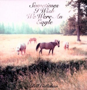 BILL CALLAHAN | SOMETIMES I WISH WE WERE AN EAGLE (VINYL)