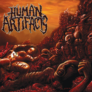 HUMAN ARTIFACTS | PRINCIPLES OF SICKNESS