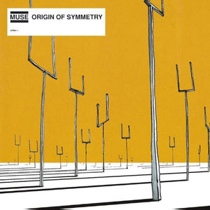 MUSE | ORIGIN OF SYMMETRY