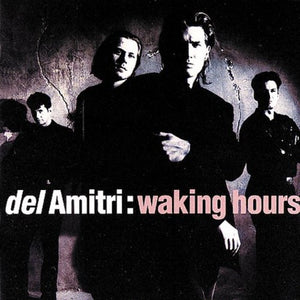 DEL AMITRI | WAKING HOURS