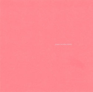 SUNNY DAY REAL ESTATE | LP2