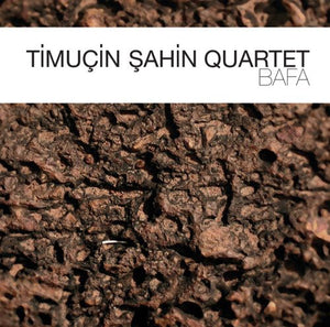 TIMUCIN SAHIN | BAFA