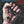 ALICE COOPER | RAISE YOUR FIST AND YELL