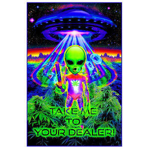 TAKE ME TO YOUR DEALER BLACKLIGHT GLOW POSTER MAXI SIZE (NON FLOCKED) 531