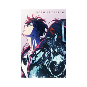 SOLO LEVELING POSTER MAXI 323