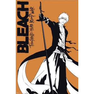 BLEACH ICHIGO POSTER 393