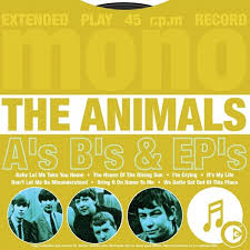 ANIMALS | AS BS AND EPS