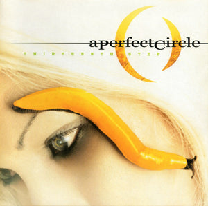 PERFECT CIRCLE | THIRTEENTH STEP - 2019
