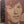 STEVE WINWOOD | WINWOOD - 2LP - USA - CUT CORNER