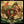 HELPLESSNESS BLUES (2LP SET) (VINYL) | FLEET FOXES