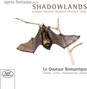 LE QUATUOR ROMANTIQUE | OPERA FANTASIES FROM SHADOWLANDS