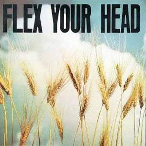 VARIOUS ARTISTS | FLEX YOUR HEAD / VARIOUS